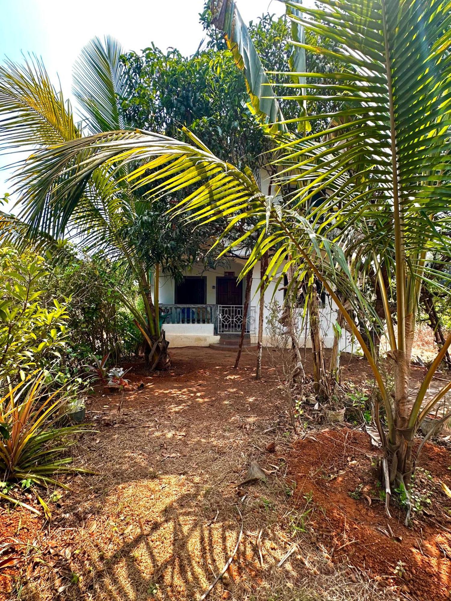 Evaddo Homes Mandrem Luaran gambar